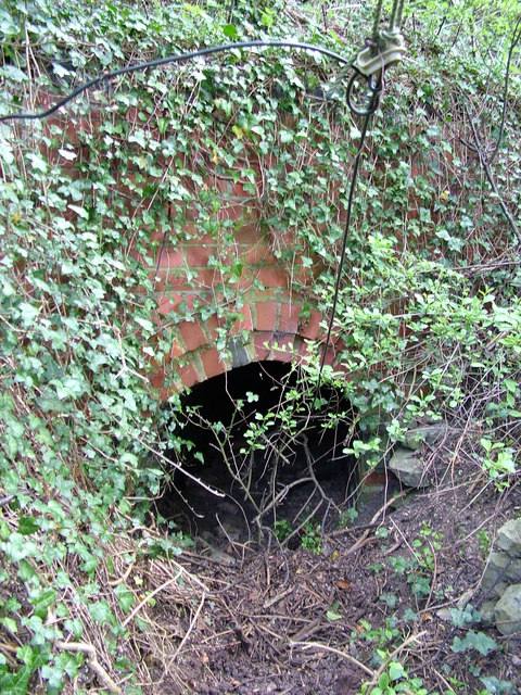 Drainage ditch and culvert managing field runoff